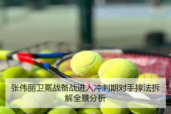 张伟丽卫冕战备战进入冲刺期对手摔法拆解全景分析